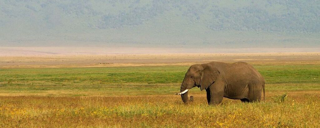 Comment organiser un voyage en Tanzanie de A à Z