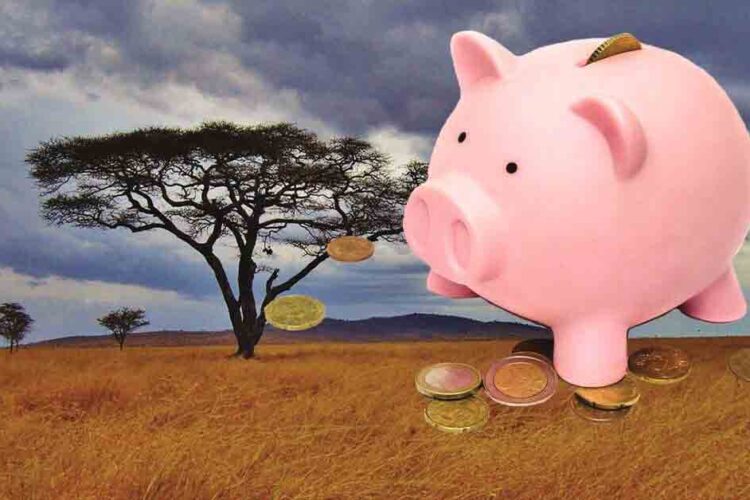 ¿Cuánto cuesta un safari en Tanzania? Precios y ofertas