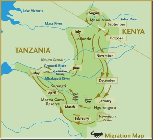 Mappa grande migrazione