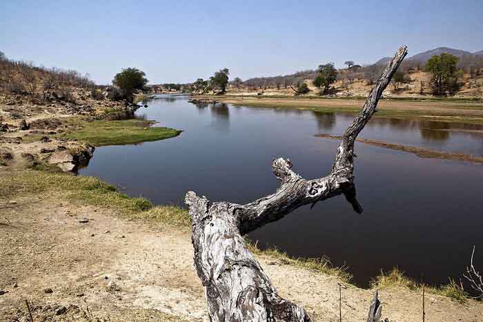 Fiume Parco del Ruaha