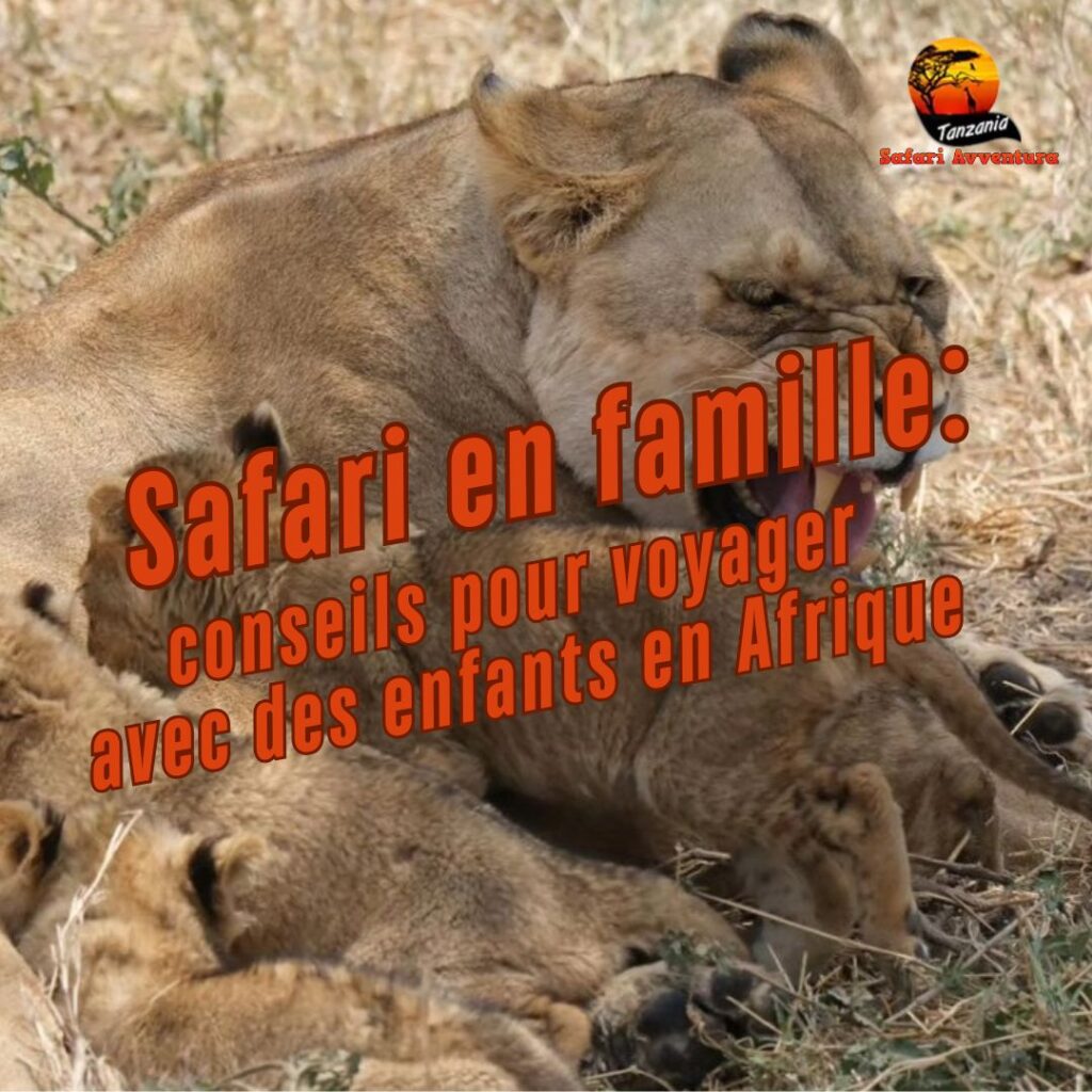 safari aventure familiale