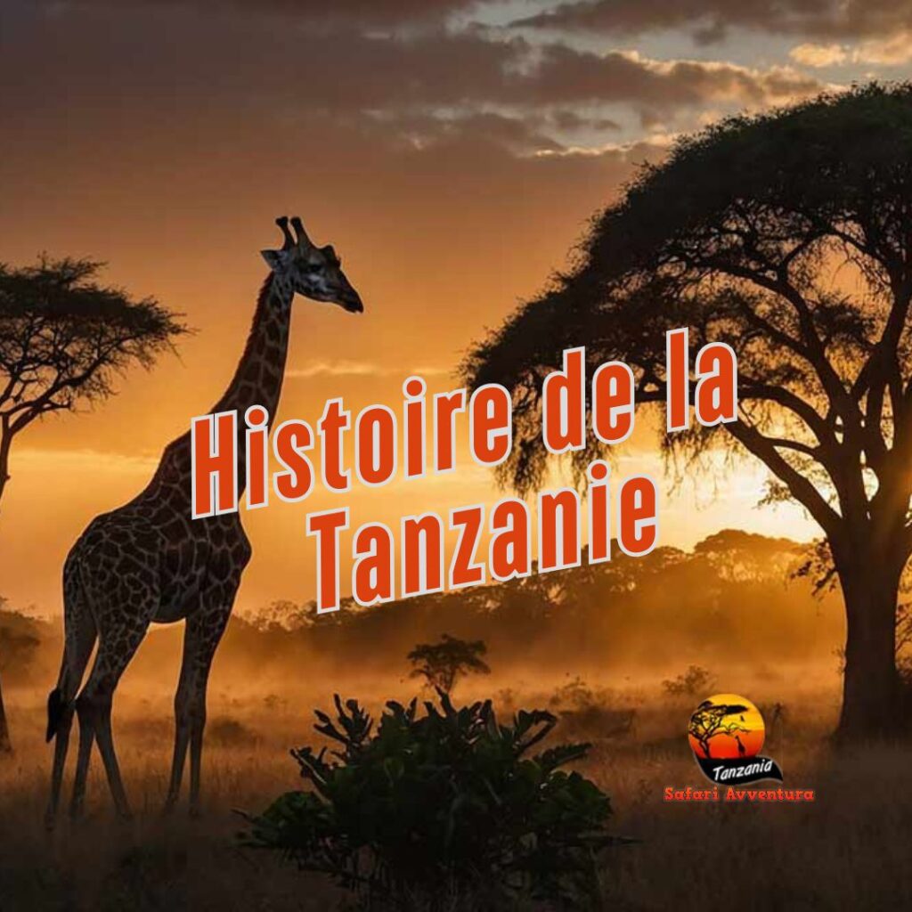 historie de la tanzanie