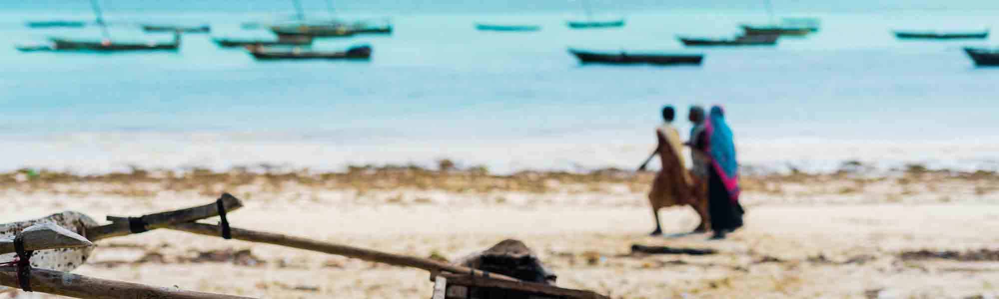 Safari in Tanzania e mare di Zanzibar