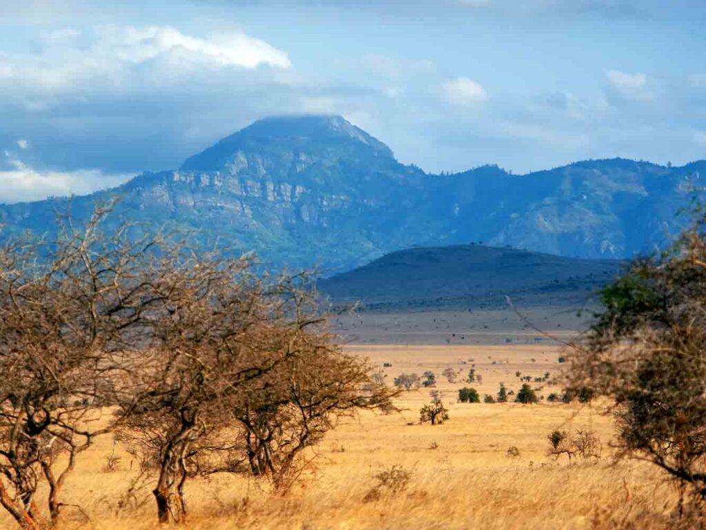 Circuit Nord — Serengeti, Ngorongoro, Tarangire, Manyara (+ extension Zanzibar)