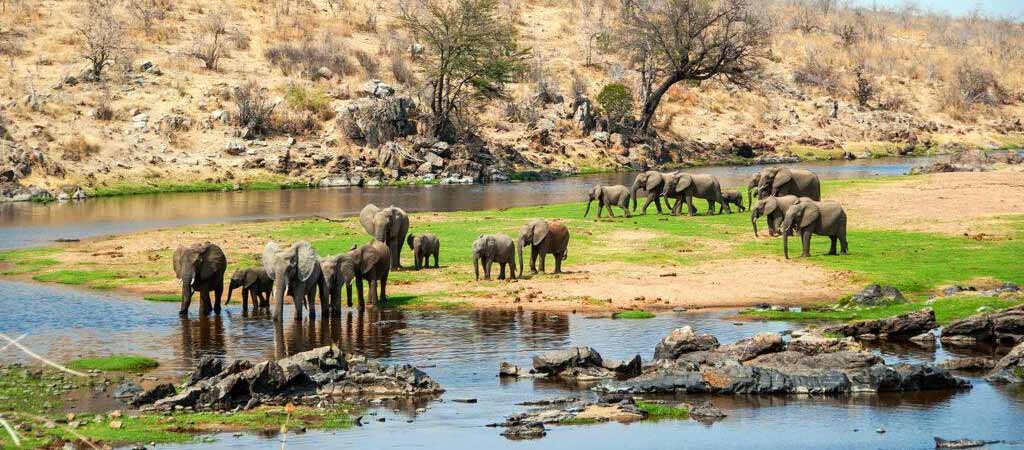 Parco del Ruaha in Tanzania del Sud